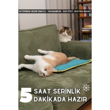 pawdaz Serin (60X40CM) - 4 Mevsim Kedi/ Köpek Matı, Sıcak Veya Soğuk Kullanılabilen Minder Yatak