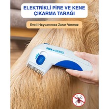 Flea Doctor Kedi Köpek Pilli Pire Tarağı