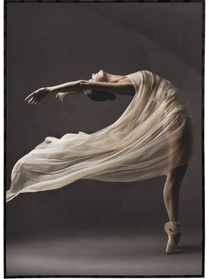 SHOP365 Balerin Dansçı Ipek Elbiseli Estetik Sanatsal Poster P-000897