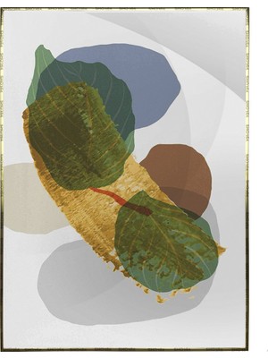 SHOP365 Bitki Yapraklar ve Şekiller Modern Poster P-003163