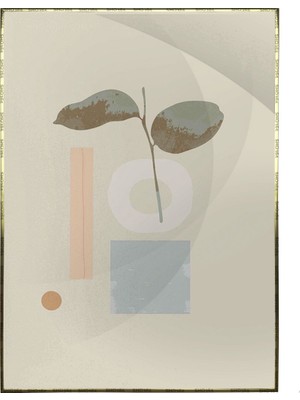 SHOP365 Çeşitli Objeler Sanatsal Illüstrasyon Poster P-003769