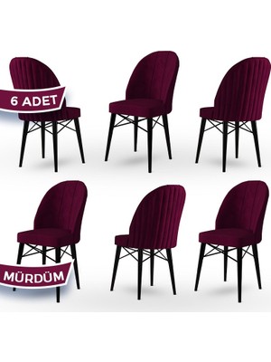 Canisa Concept Jena Serisi 6 Adet Mutfak Sandalyesi 1.sınıf Babyface Ithal Kumaş Siyah Gürgen Ayak