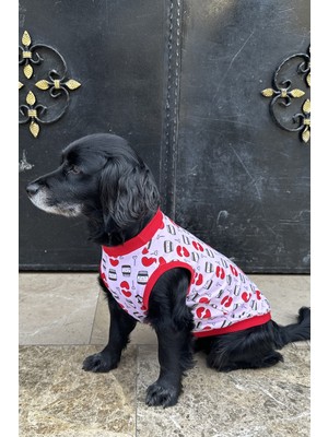 Peti Tailor Küçük ve Orta Irk Yazlık Nutella Tişört Supreme