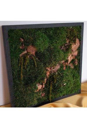 Moss Wall Art 18x18