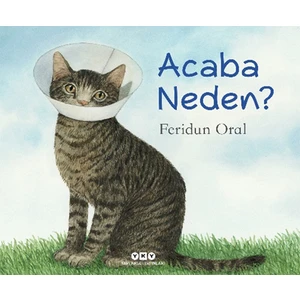 Acaba Neden - Feridun Oral