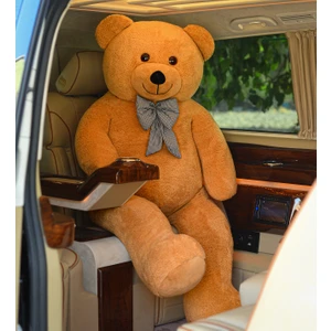 Özgüner Oyuncak Dev Büyük Peluş Ayıcık 170 cm Hediyelik Ayı  (%100 Yerli)