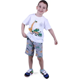 Dino Baskılı Erkek Çocuk Yazlık Takım Kapri Alt Üst