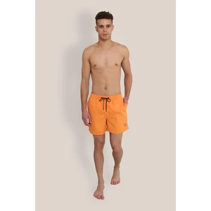 Jack & Jones Logo Detaylı Deniz Şortu- Fiji