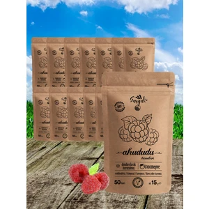 Sağlıklı Gıda Dondurularak Kurutulmuş Ahududu 15'li ( Freeze Dried Meyve Kurusu - Cipsi )