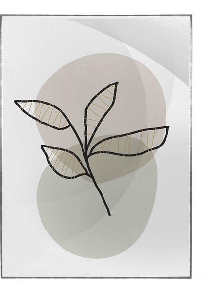 Doğa Bitki Modern Illüstrasyon Poster P-002544