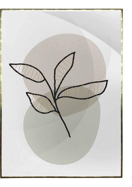 Doğa Bitki Modern Illüstrasyon Poster P-002544