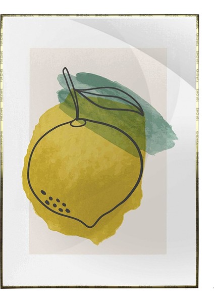 Meyveler Sulu Boya Görünümlü Karışık Renkler Modern Poster P-003629