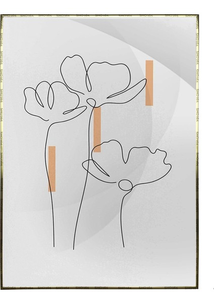 Doğa Çiçek Kuş Illüstrasyon Poster P-001339