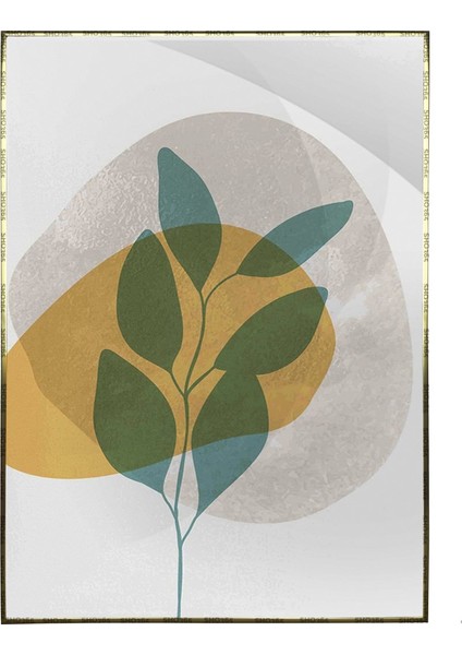 Doğa Bitki Modern Illüstrasyon Poster P-002677
