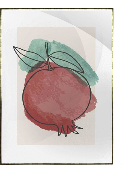 Meyveler Sulu Boya Görünümlü Karışık Renkler Modern Poster P-003628