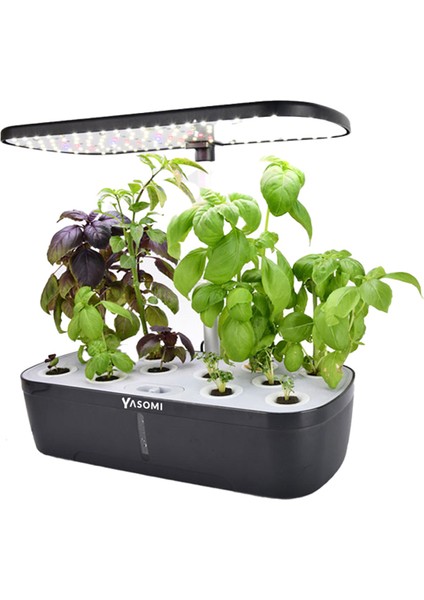 S12 Smart Planter Akıllı Ev Bahçesi 12'li (Türkiye Garantili)