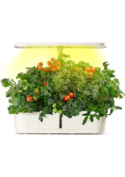 S12 Smart Planter Akıllı Ev Bahçesi 12'li (Türkiye Garantili)