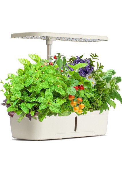 S12 Smart Planter Akıllı Ev Bahçesi 12'li (Türkiye Garantili)