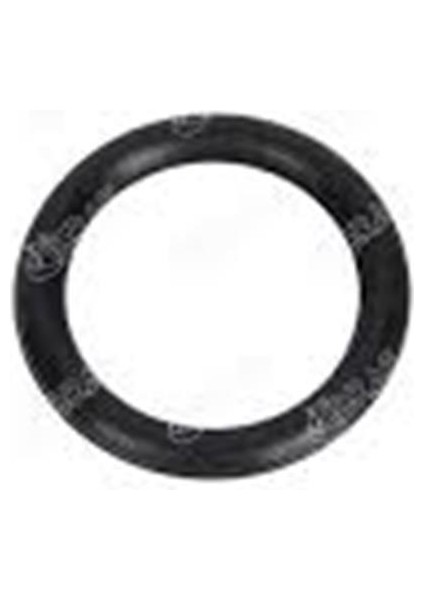 Citroen C3 1.4 Hdi Dizel Emme Manifold Oring Takımı Corteco Marka 0348.R2