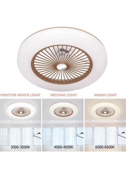 Aydınlatmalı Tavan Vantilatörü LED Işık Fan (Yurt Dışından) fiyatları