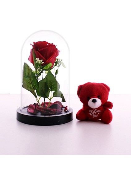 Fanusta LED Işıklı Kırmızı Gül ve Kırmızı Mini Ayıcık Set Sevgiliye Hediye 01W