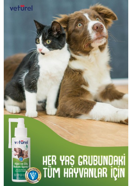 Ağız ve Diş Bakım Spreyi 3x100ml Köpek Ağız Kokusu Giderici Kedi Ağız Kokusu Plak Tartar