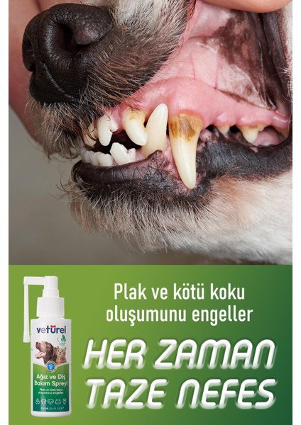 Ağız ve Diş Bakım Spreyi 3x100ml Köpek Ağız Kokusu Giderici Kedi Ağız Kokusu Plak Tartar