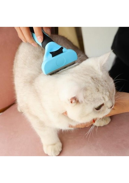 Pet Kedi Köpek Tarak Fırçası Profesyonel Saç Sökücü Kedi Fırçası Pet Bakım Ürünleri Pet Giyotin Tarakları Kaynağı | Köpek Tarakları (Yurt Dışından) fırsatları