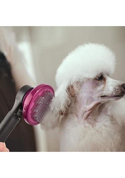 Kedi Köpek Fırçası, Hayvan Saç Fırçası Kiti 3 1 Profesyonel (Fırça Köpek Uzun Saçlar Bakım, Rake Çözünür, Kedi Tarak Saç Kısa) Kendi Kendini Temizleme Fırça Kidna (Yurt Dışından) fırsatları