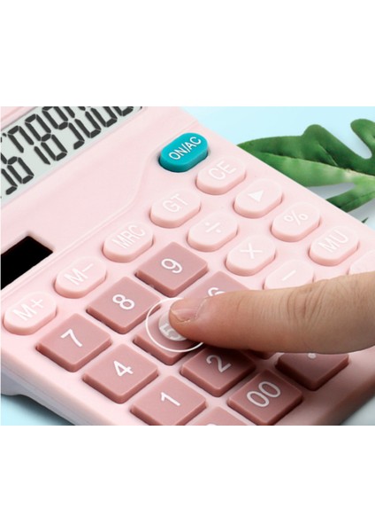 12 Haneli Danışma Güneş Hesaplama Büyük Düğmeler Finansal Iş Muhasebe Aracı Okul Öğrencisi Için Büyük Düğmeler | Hesap Makineleri (Pembe) (Yurt Dışından)