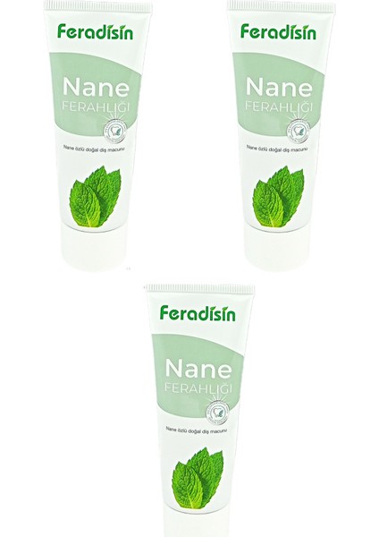 Nane Ferahlığı Diş Macunu (75ml x 3)