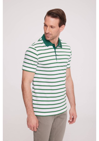Erkek Yeşil Polo Yaka Çizgili TShirt fiyatları