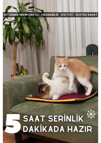 pawdaz Serin (60X40CM) - 4 Mevsim Kedi/ Köpek Matı, Sıcak Veya Soğuk Kullanılabilen Minder Yatak