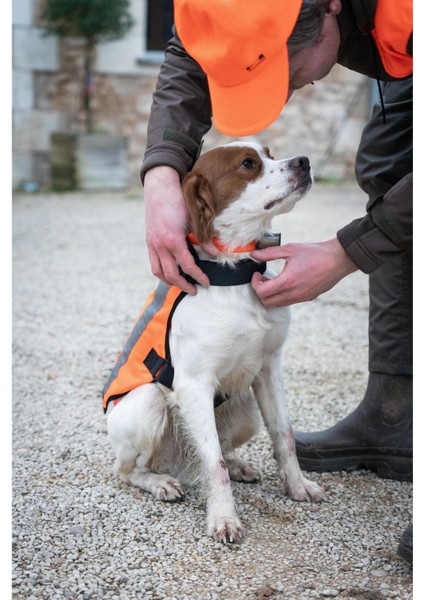 Solognac Köpek Yeleği - Avcılık ve Doğa Gözlemi - Turuncu - 100