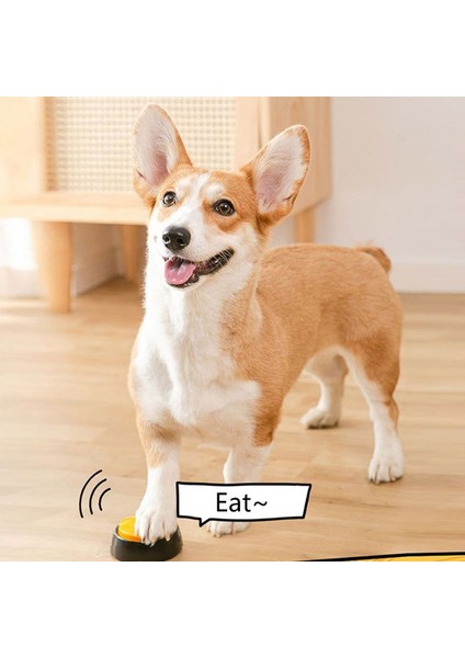 Köpek Iletişimi Pet Cihazı (Yurt Dışından) modelleri