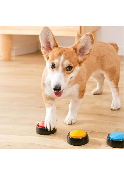 Köpek Iletişimi Pet Cihazı (Yurt Dışından) fırsatları