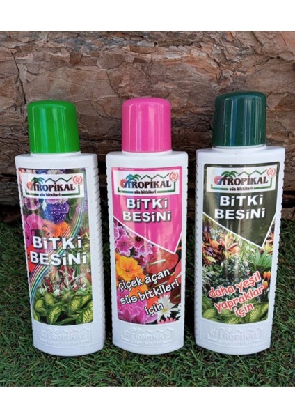 Bitki Besini 3'lü Set Genel Bitki Besini Çiçek Açtıran Yeşil Yapraklı Bitki Vitamini Gübre