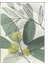 Çiçekler Doğa Yeşil Tonlar Modern Poster P-002249 1