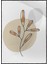 Doğa Bitki Modern Illüstrasyon Poster P-002623 1