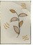 Yapraklar ve Şekiller Yeşil ve Toprak Tonları Modern Poster P-003879 1