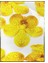 Sarı Orkide Çiçek Dekoratif Poster P-000361 1