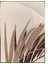 Bitki Yapraklar ve Şekiller Modern Poster P-002275 1