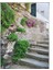 Cinque Terre Italya Manzara Poster P-000022 1