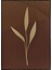 Yapraklar Gri Kahverengi Renkler Illüstrasyon Modern Poster P-001574 1