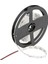 CT-4534 10ç Dış Mekan Rgb LED Şerit, 5 M 1