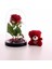 Fanusta LED Işıklı Kırmızı Gül ve Kırmızı Mini Ayıcık Set Sevgiliye Hediye 01W 1