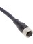 XZCP29P11L5 5 Metre M12 Sensör Kablosu 8 Pim 1