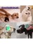 Pet Tarak Fırçaları 2 1 Pet Köpek Kedi Silikon Banyo Fırçası Köpek Banyo Fırçası Evcil Hayvan Banyo Yeşil (Yurt Dışından) 4