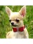 Ilmek Yaka Süet Deri Rhinestone Köpek Yaka ve Tasma Seti Pet Yavru Kedi Küçük Orta Köpekler Için Chıhuahua Yaka Kediler | Köpek Kedi Yaka | Kitten Collarcat Yaka (Kırmızı) (Yurt Dışından) 3