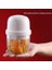 250ML Mini Chopper, Kablosuz Elektrikli Taşınabilir Sarımsak Masher Makinesi Bebek Maması Işlemcisi Soğan Fındık Sarımsak Presleri Için (Yurt Dışından) 2